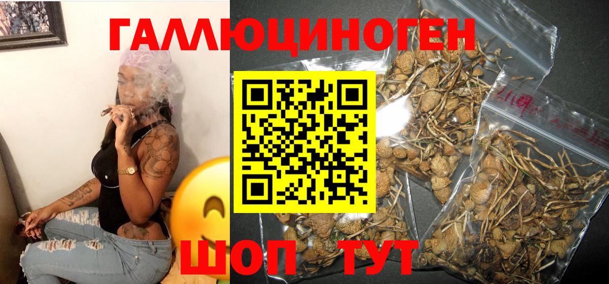 Псилоцибиновые грибы Magic Shrooms  Псилоцибиновые грибы ЛСД  где можно купить наркотик  Советск  Вход с VPN 