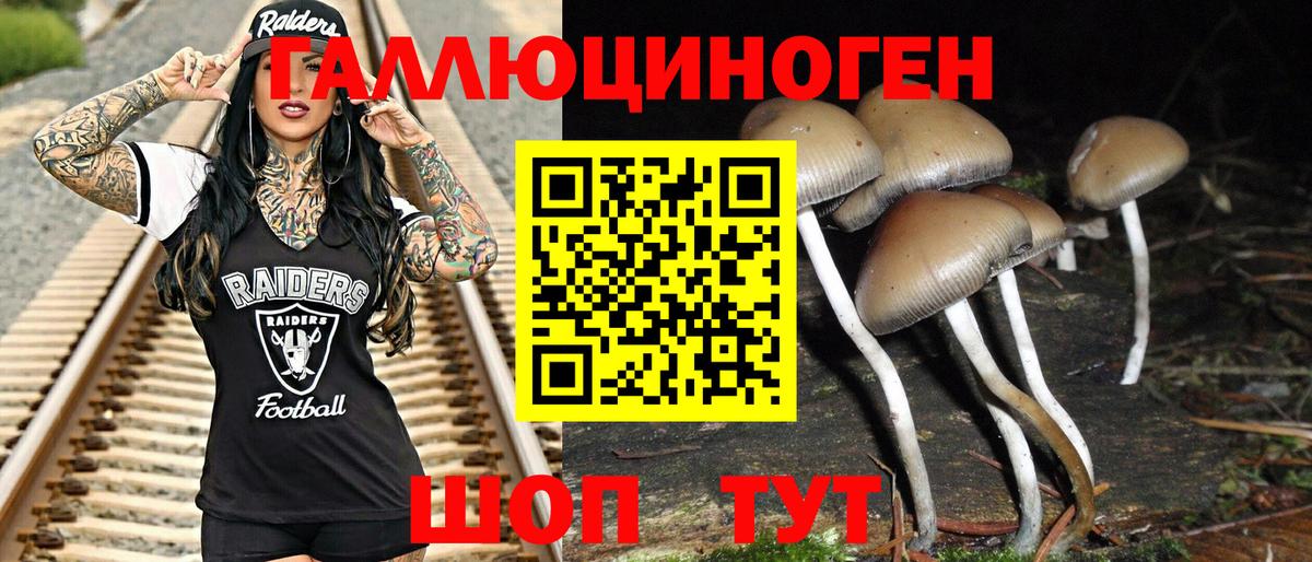 Галлюциногенные грибы GOLDEN TEACHER Советск