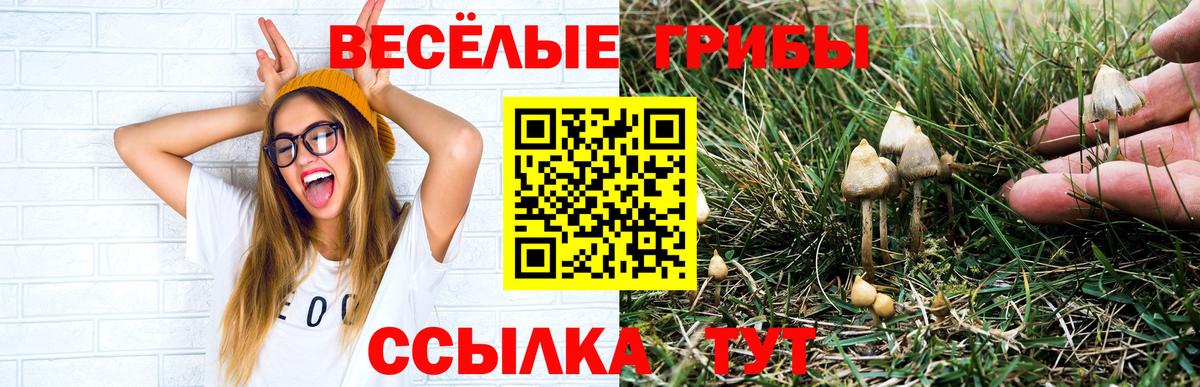 Псилоцибиновые грибы мицелий  Вход с VPN  Советск 