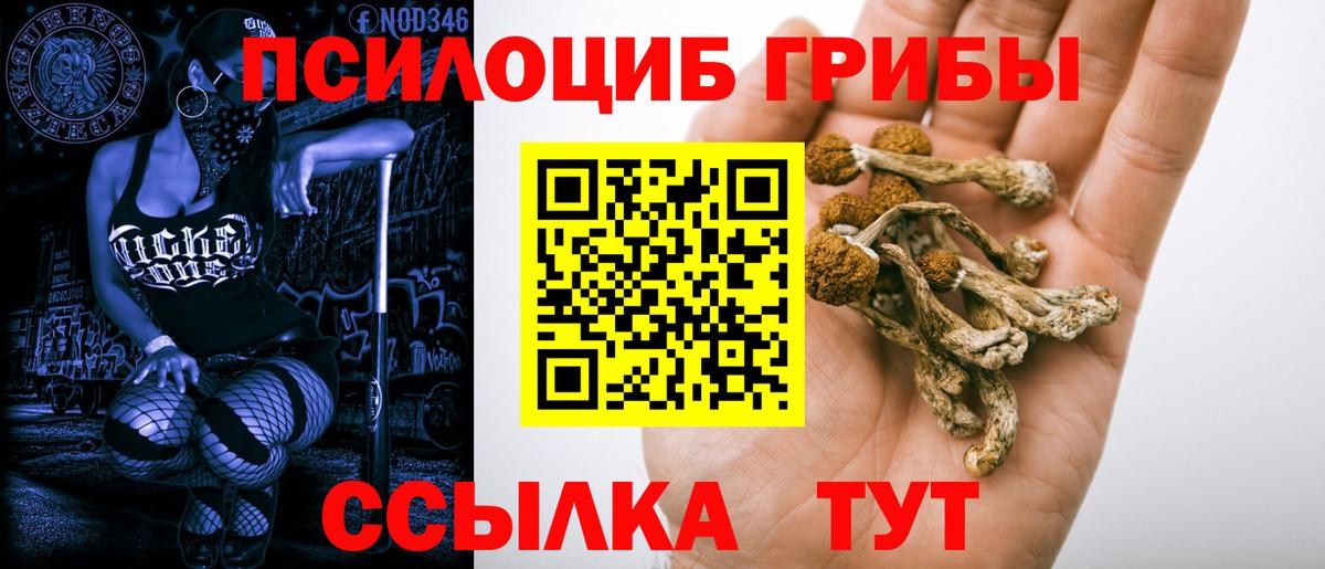 Псилоцибиновые грибы мухоморы Советск